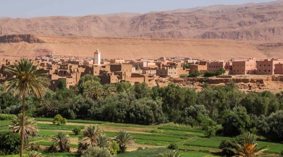 Circuito de 12 días desde Casablanca vía Fez